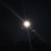 Dan B Ose - @dan.b.ose - TikTok