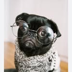 Dan bosman - @bosman_dan - Instagram