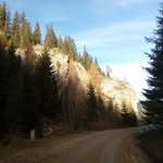Dany - @dan_bostiog - Instagram