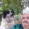 danbotez3 - @dan.botez7 - TikTok