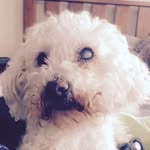 Danny - @danny_botting - Instagram