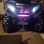 Dan Bouchard - @dany_bouchard1 - Instagram