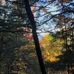 Dan Boudreau - Facebook