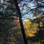 Dan Boudreau - @w3irdworld69 - Instagram