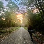 Daniel Boudreau - @dan_boudreau_ - Instagram