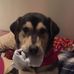 Dan Bouffard - Facebook
