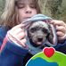 Dan Bouffard - Facebook