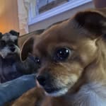 Dan Bourque - @dano2664 - Instagram