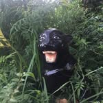 @d_a_n_b_o_y_d - Instagram
