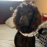 Dan - @dan.the.boykin - Instagram