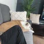 Dan Boyko - @dan.boyko.900 - Instagram