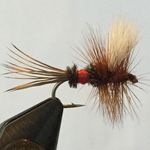 Dan Bracey - @drunkflytyer - Instagram