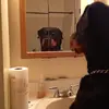 Daniel Bracey - @da.bracey - TikTok