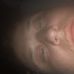 Daniel Bradford - Facebook
