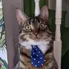 Dann Bradford - @dann.bradford - TikTok