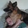 Dan Bradshaw - @dan.bradshaw5 - TikTok