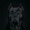 danbradshaw49 - @danbradshaw49 - TikTok