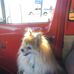 Dan Brady - Facebook