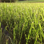 Dan Brainard - @danslawnservice - Instagram