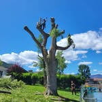 Dan Braithwaite - @dan_climbs_ - Instagram