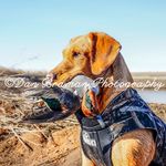 Dan Braman Photography - @danbramanphotography - Instagram