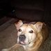 Daniel Braman - Facebook
