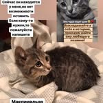 Dan Brandenburg - @curdmidcompbacket231 - Instagram
