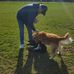 Dan Brandenburg - Facebook