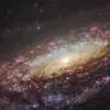danielbrandow - @danielbrandow - TikTok