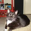 Dana Brantley - @dana.brantley4 - TikTok