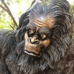 Daniel - @danbrantley - Instagram