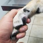 Dan Brawley - @danbrawley - Instagram