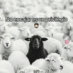 Daniel Breach Barron GR - Facebook