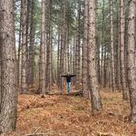 Dan Breeze - @dreez3y - Instagram
