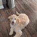 Dan Breiner - Facebook