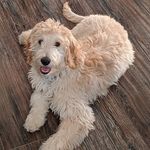 Dan Breiner - @dan.breiner.10 - Instagram