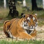 Daniel M Bresnahan - @danielmbresnahan - Instagram
