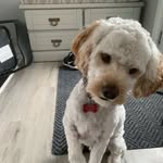 Dan Breton - @annavemayor - Instagram