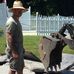 Dan Breton Stonework - Facebook