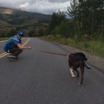Dan Brett - @danpa_brews - Instagram