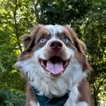 Dan Brewington - @dannybrewington - Instagram
