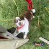 Dan Brewington - @dan.brewington - TikTok