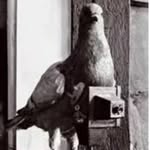 Dan Brickley - @danbri - Instagram