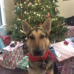 Dan Bridenbaugh - @dan.bridenbaugh - Instagram