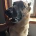 Daniel Briner - Facebook