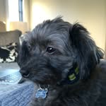 Dan Briody - @breeodee - Instagram