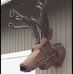 Dan Brisson - Facebook