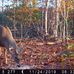 Dan Britt - Facebook