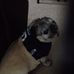 Dan Brittingham - Facebook