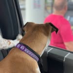 Dan Broadway - @broadway5460 - Instagram